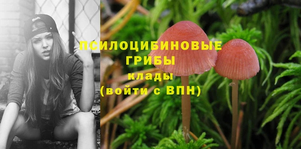 наркотики Волосово